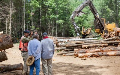 What is “Sustainable Logging?”