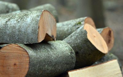 Getting the Right Job Done: Landowner Objectives and Custom Logging Plans