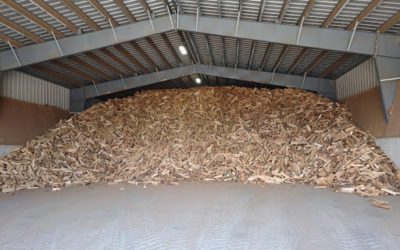 Seasoned vs. Kiln-Dried Firewood: Which Burns Better?