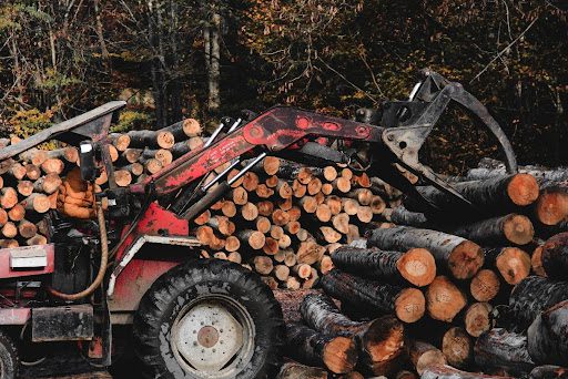 How to Find Logging Companies Near Me: 7 Smart Ways to Choose the Right Partner