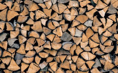 Where Can I Purchase Firewood in Maine? How to Choose the Right Type for Your Needs