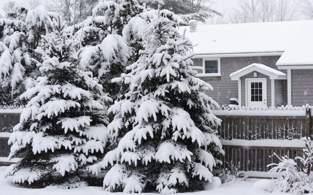 Maine Winter Prep Checklist: Stay Warm, Dry, and Ready