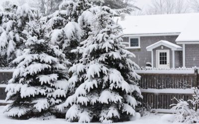 Maine Winter Prep Checklist: Stay Warm, Dry, and Ready