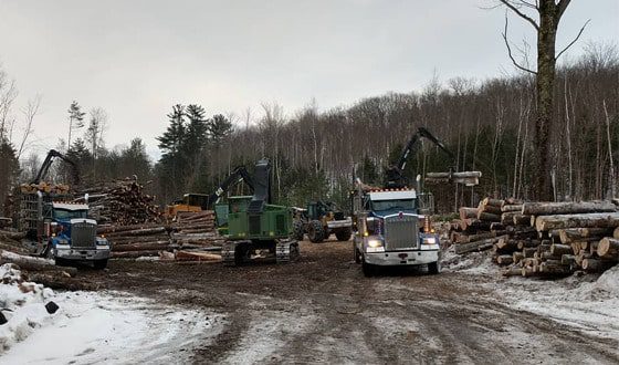 560x330-7-min