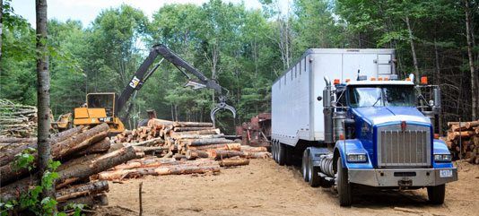 Master Logger Certification: Why It Matters
