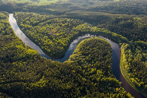 The Added Value Sustainable Logging Brings Landowners