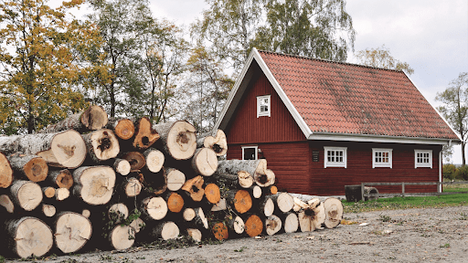 What Kind of Tree Service Professional Do You Need?