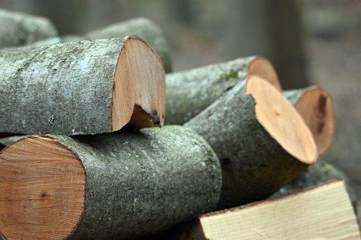 Getting the Right Job Done: Landowner Objectives and Custom Logging Plans