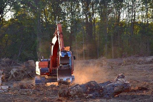 How Does Wood Harvesting Affect the Environment?
