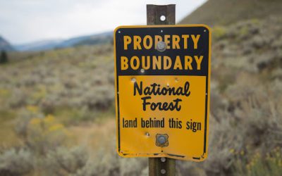 Boundary Marking in Maine: How To Recognize Your Property Line?