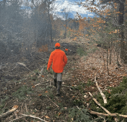 What Types of Methods Do Timber Harvesting Services Use?