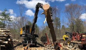 log-cutting