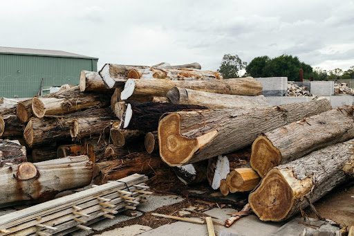 Timber Marketing & Sales: How Marketing Fits Into Forest Management