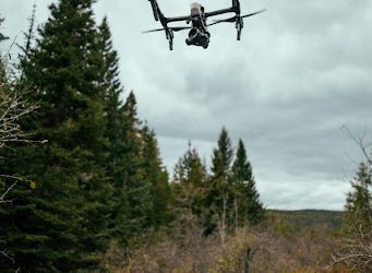 Modern Timber Harvests: How New and Upcoming Technology Promises a Greener Future