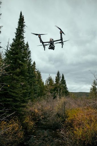 Modern Timber Harvests: How New and Upcoming Technology Promises a Greener Future