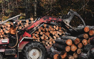 7 Ways to Find a Logging Company Near Me