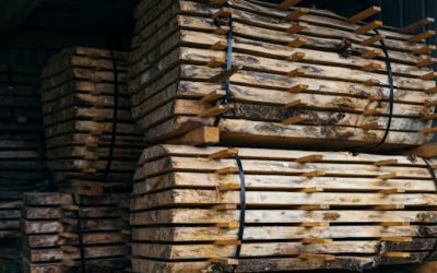 What Is Timber and Its Uses?