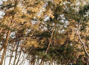 How To Find And Hire The Best Lot Clearing Companies
