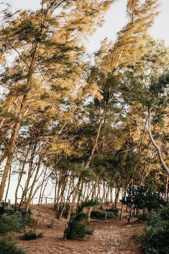 How To Find And Hire The Best Lot Clearing Companies