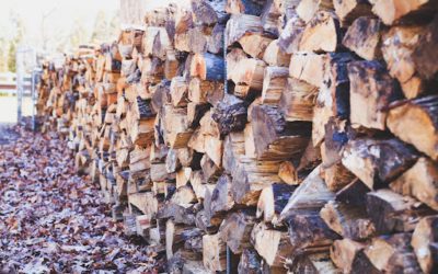 The Complete Guide to Maine Firewood & Fires