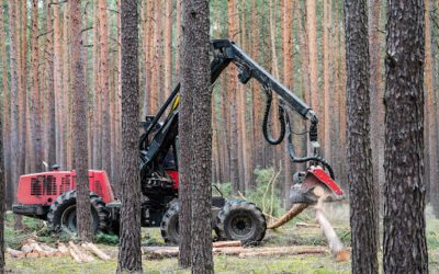 What Is Sustainable Logging? A Look At the Timber Supply Chain and Emerging Technologies