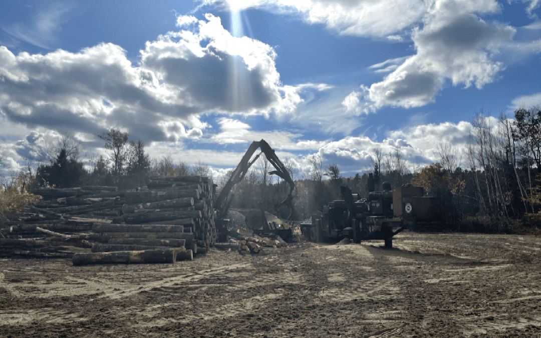 How Logging Companies Help Develop Land In Their Communities