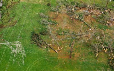 Storm Damage to Trees in the Recent Storm? Harvest Before It’s Too Late!