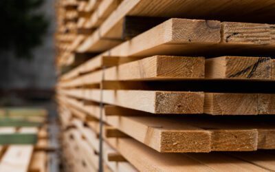 What Is Timber? A Plain-English Guide to Timber, Pulpwood, Sawlogs, and More